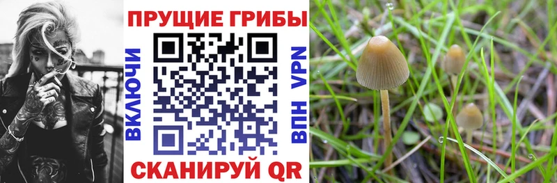 Галлюциногенные грибы мухоморы Кизел