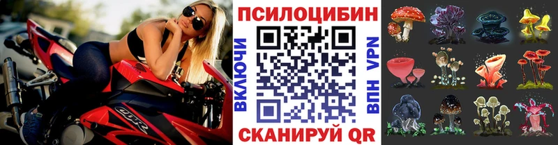 где продают   Кизел  Псилоцибиновые грибы мухоморы 